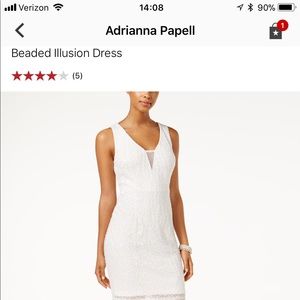 Adrianna Papell beaded illusion dress